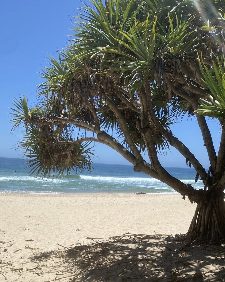 Plage et pandanus dans le nord de l'Australie